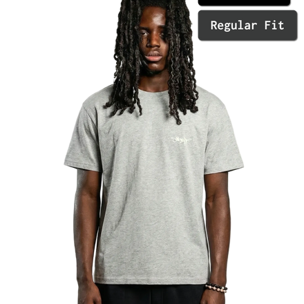 SIGNATURE REGULAR FIT T-SHIRT SPORT GREY
