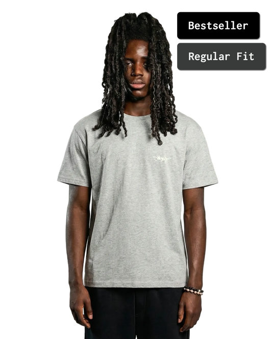 SIGNATURE REGULAR FIT T-SHIRT SPORT GREY